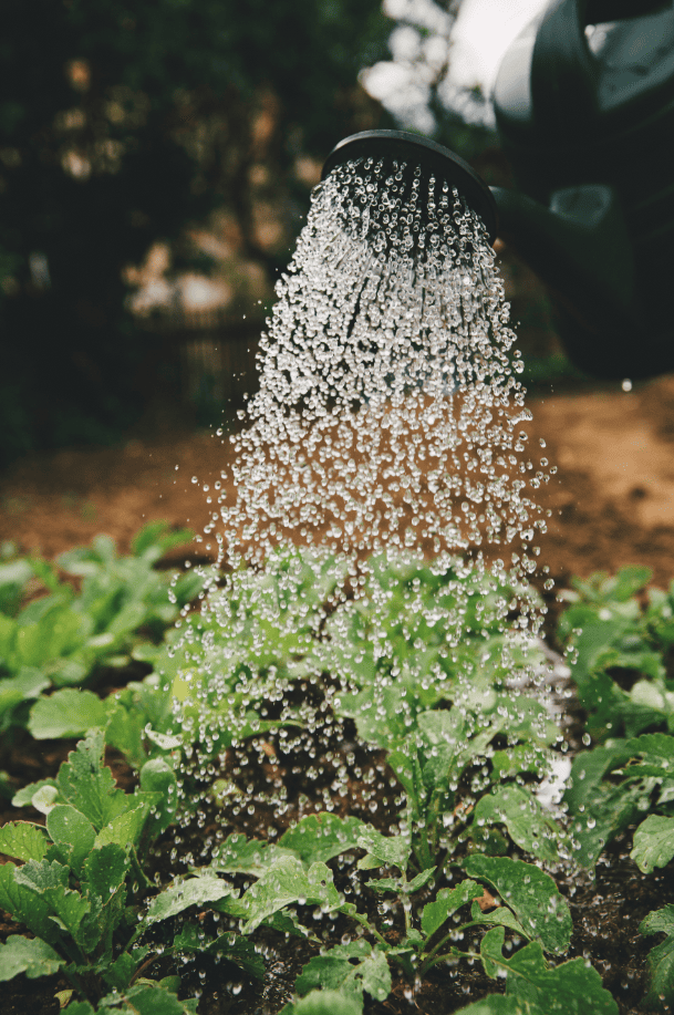 أسمدة بودر تامة الذوبان في الماء NPK 