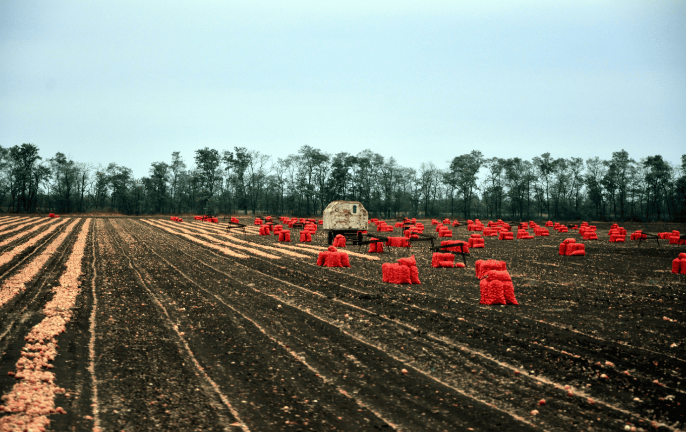 أسمدة معلقة