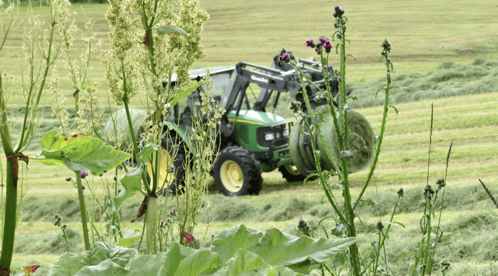 أسمدة متخصصة