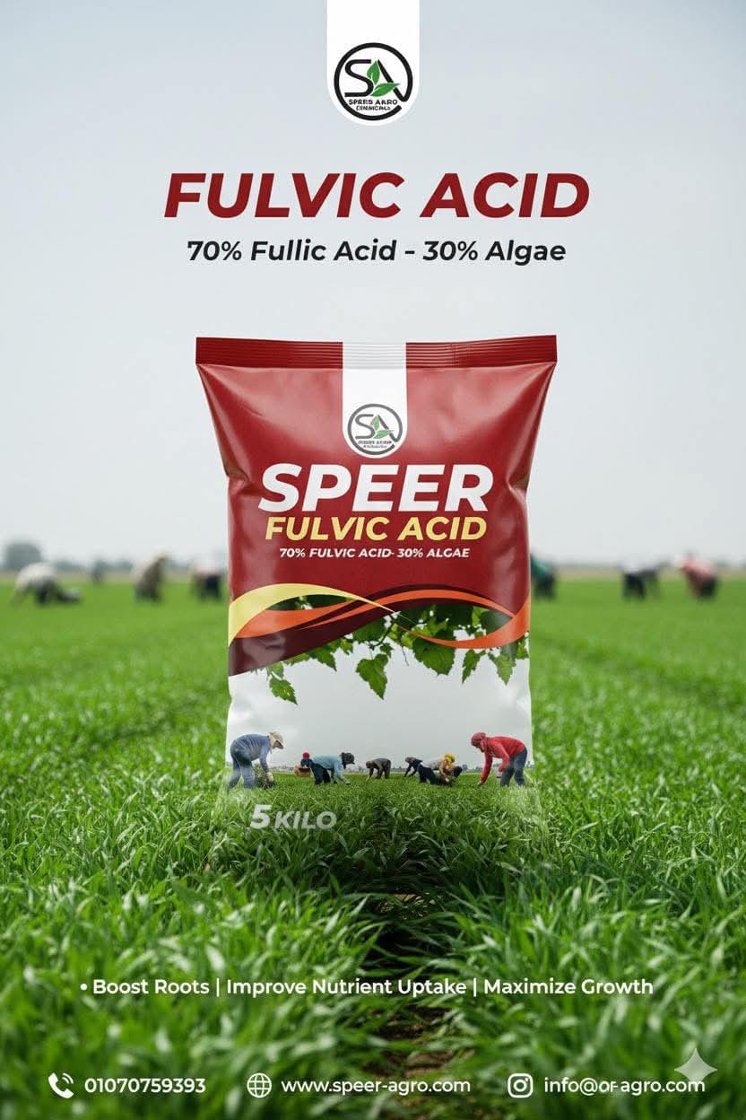 حمض الفولفيك