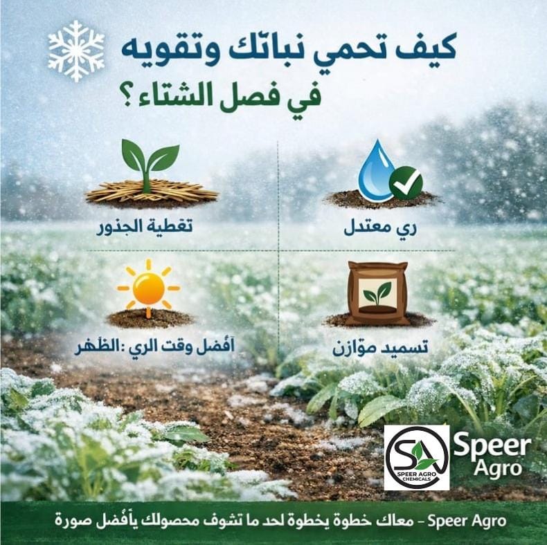 كيف تحمي وتقوّي نباتاتك في فصل الشتاء؟