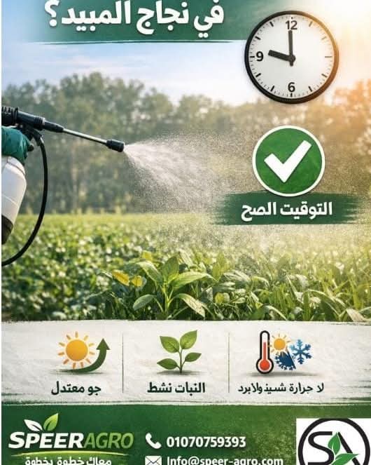 توقيت الرش.. السر وراء نجاح المبيدات وزيادة الإنتاج