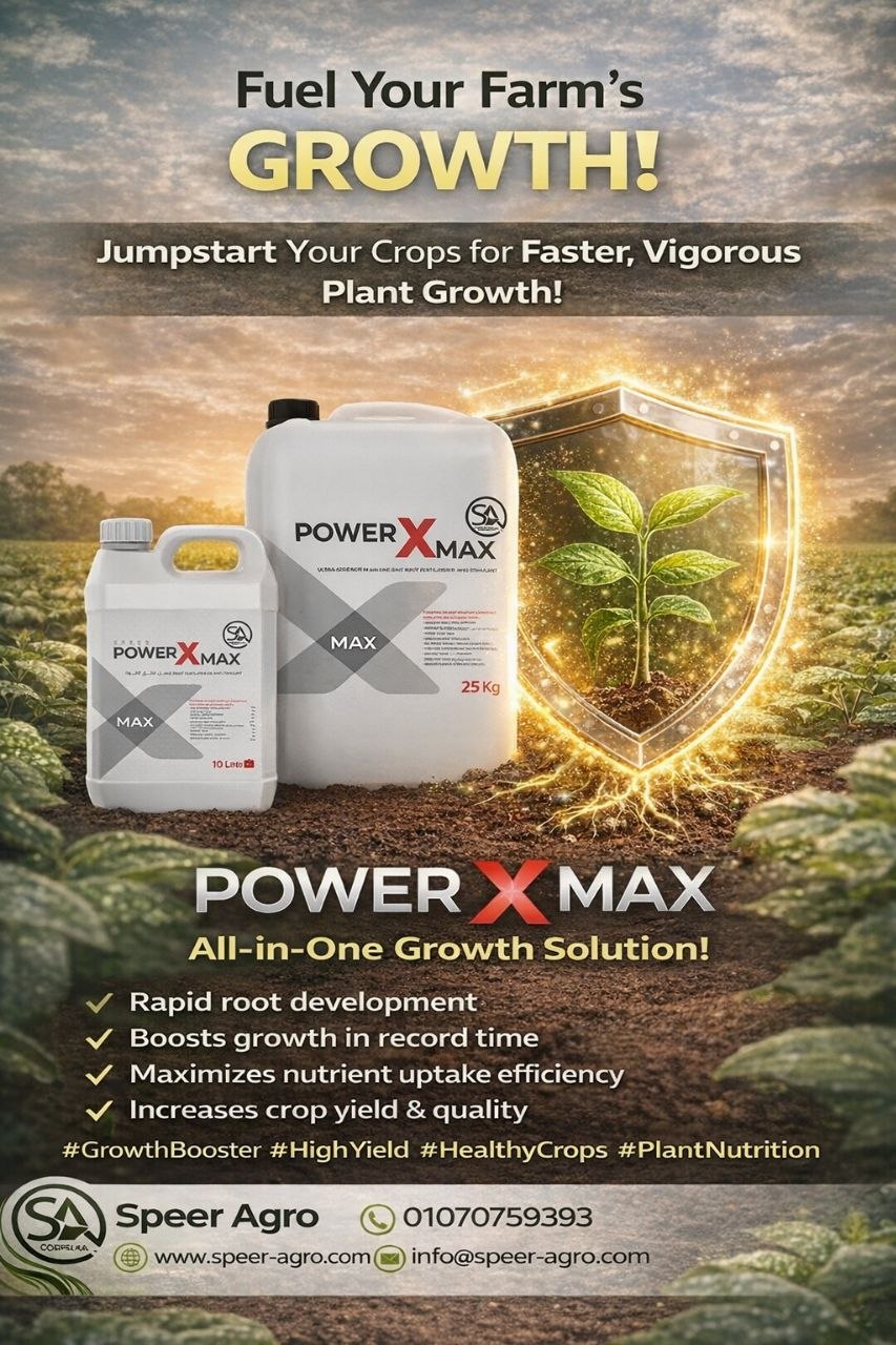 باور اكس ماكس